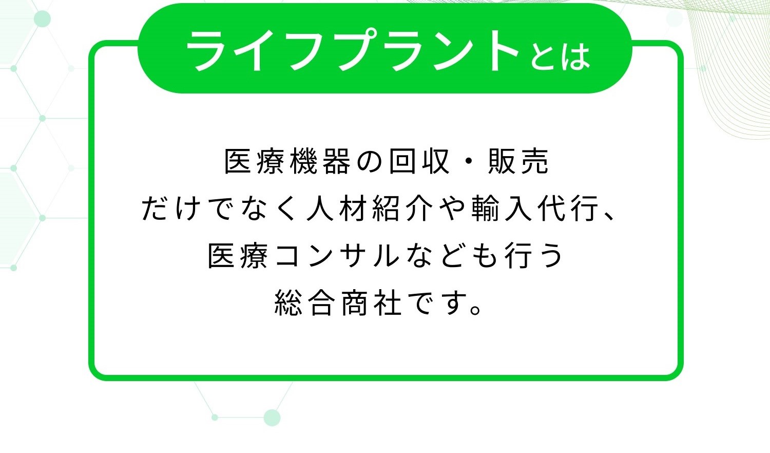 株式会社Life Plantについて